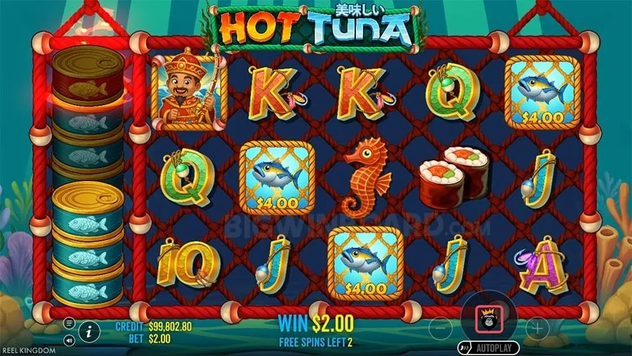Newjili Live Casino Strategies